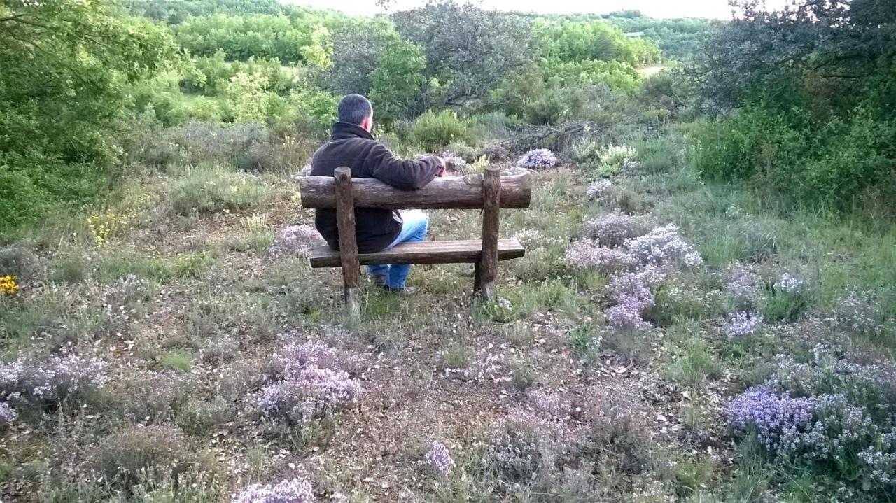Masia Rovira Pinell de Solsones Екстериор снимка